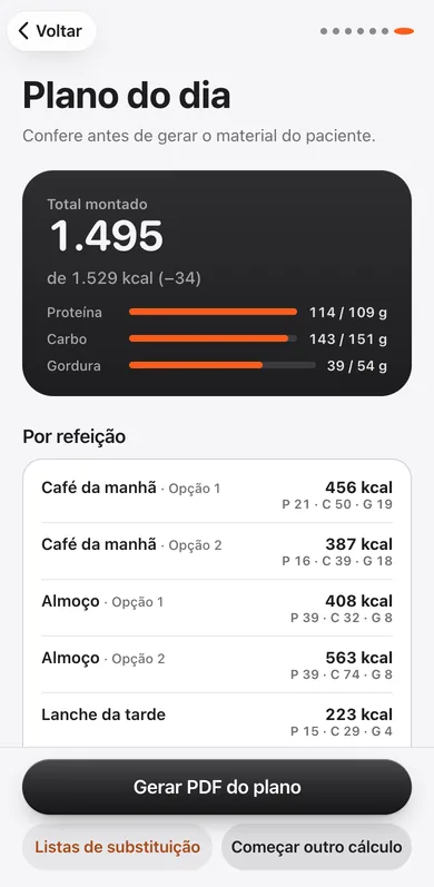 Plano do dia pronto no celular, com o botão de gerar o PDF